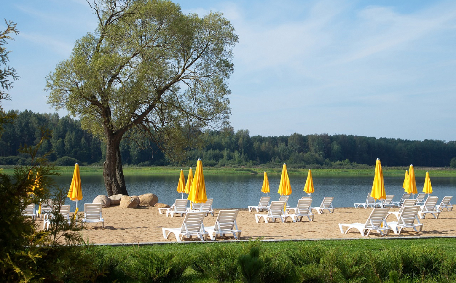 w7AewXGqpV